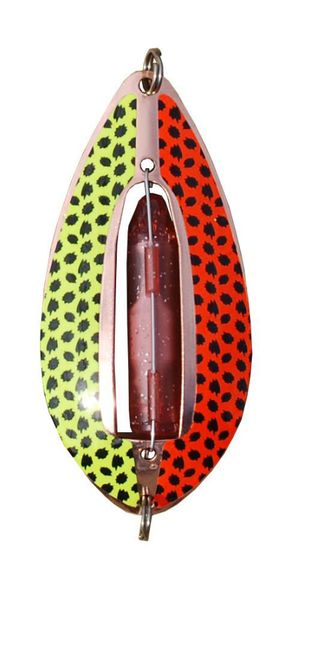 Hovedbilde Muskus Røyeblink